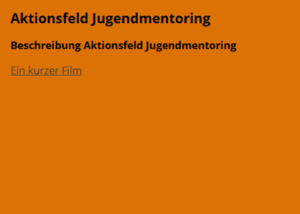 aktionsfeld4