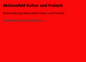 aktionsfeld5