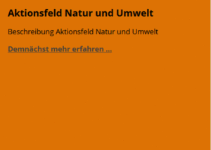 aktionsfeld6